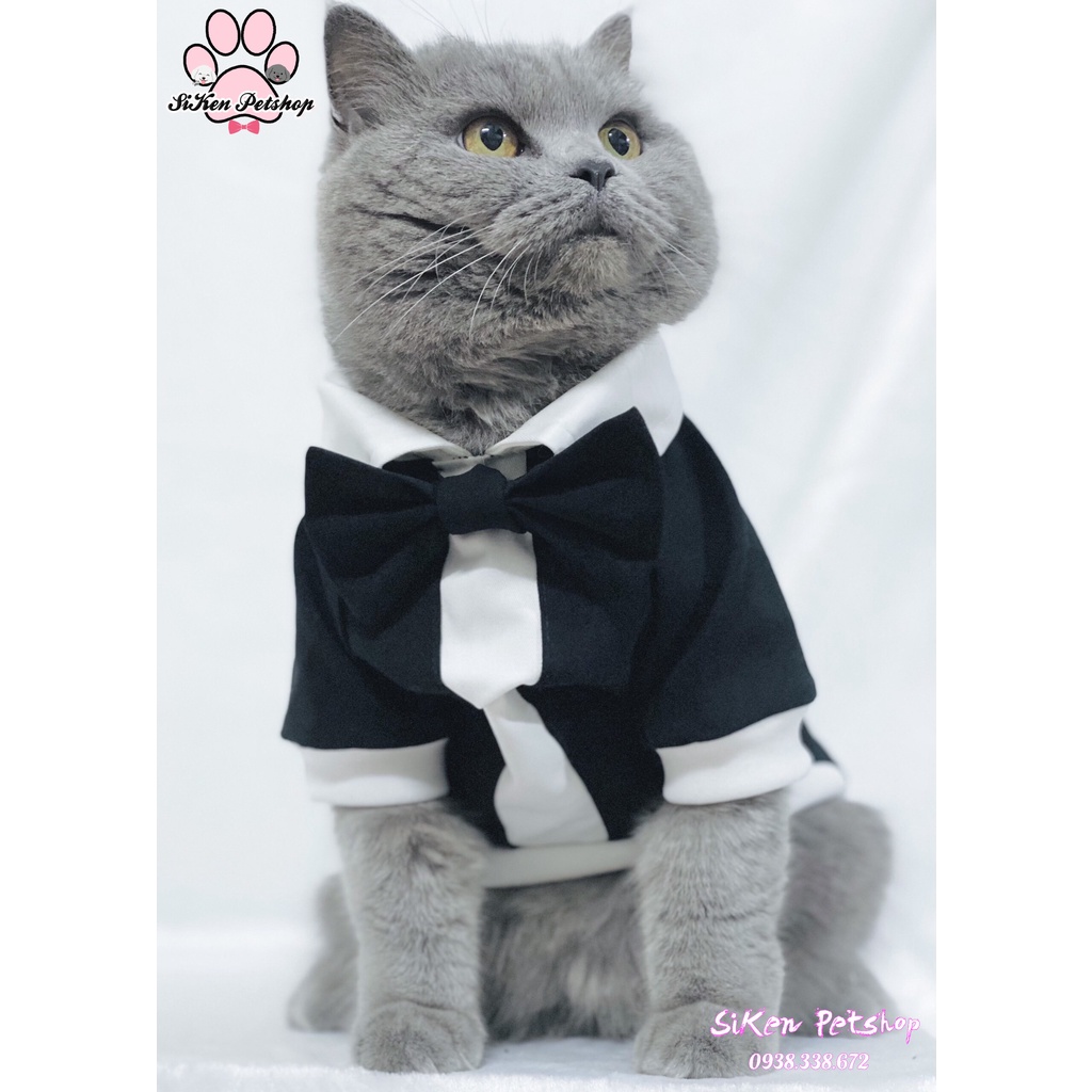 Vest Vintage nơ đen cho CHÓ/MÈO