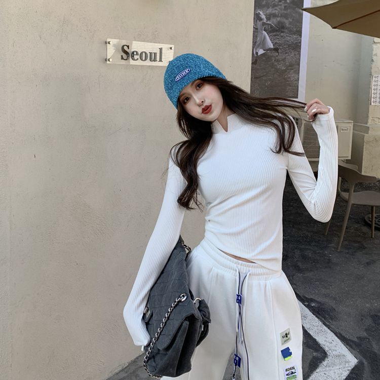 Áo Kiểu Tay Dài Cổ Lọ Có Mút Đệm Thời Trang Mùa Đông Cho Nữ