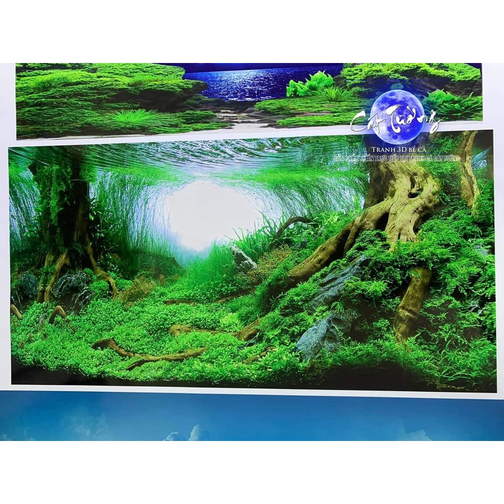 tranh 3d. tranh dán bể cá thủy sinh, bể cá rồng (tranh lưng)