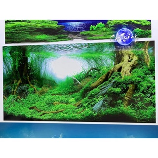 tranh 3d. tranh dán bể cá thủy sinh, bể cá rồng (tranh lưng)