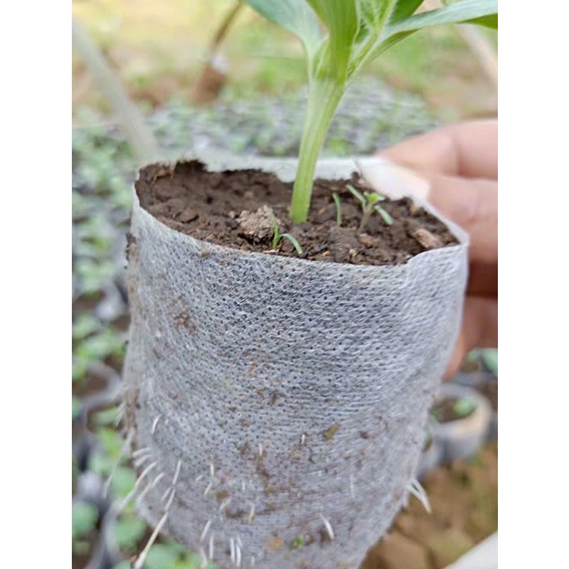 Túi Trồng Cây Bằng Vải Không Dệt Thân Thiện Với Môi Trường Có Thể Phân Hủy Sinh Học CR1