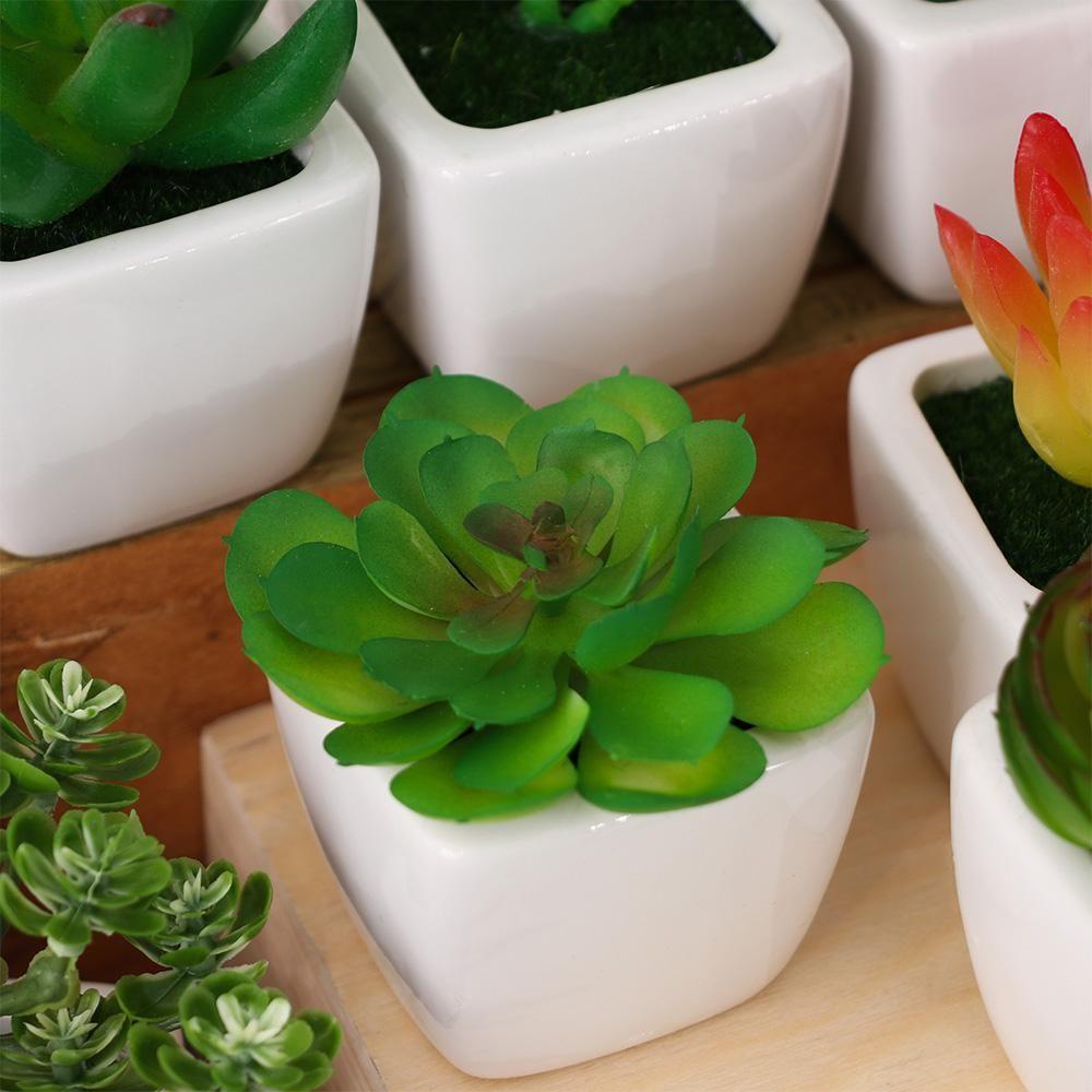 Chậu Hoa Sen Đá Giả Mini Trang Trí Văn Phòng