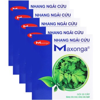 Bộ 5 hộp nhang Maxonga dùng cho máy cứu ngải