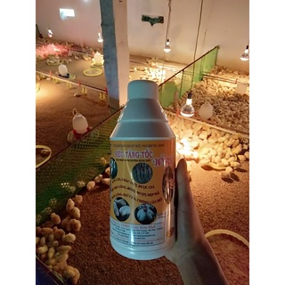 TKS-SIÊU TĂNG TỐC VỖ BÉO