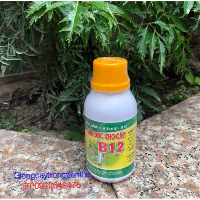 VITAMIN B12 CHUYÊN CHO HOA LAN, CÂY KIỂNG-GIẢI ĐỘC CHO CÂY (lọ 100ml)