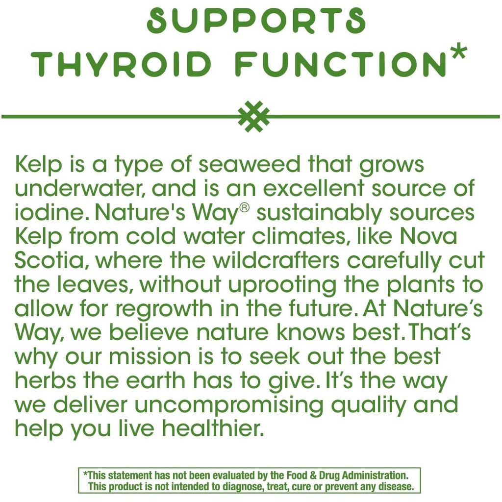 Nature's Way Kelp Support Thyroid Function 600mg - Viên uống hỗ trợ tuyến giáp 180 viên