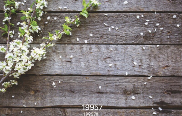 - Phông nền chụp ảnh dành cho shop bán hàng