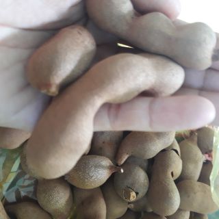 Cb me giống thái ngon ngọt