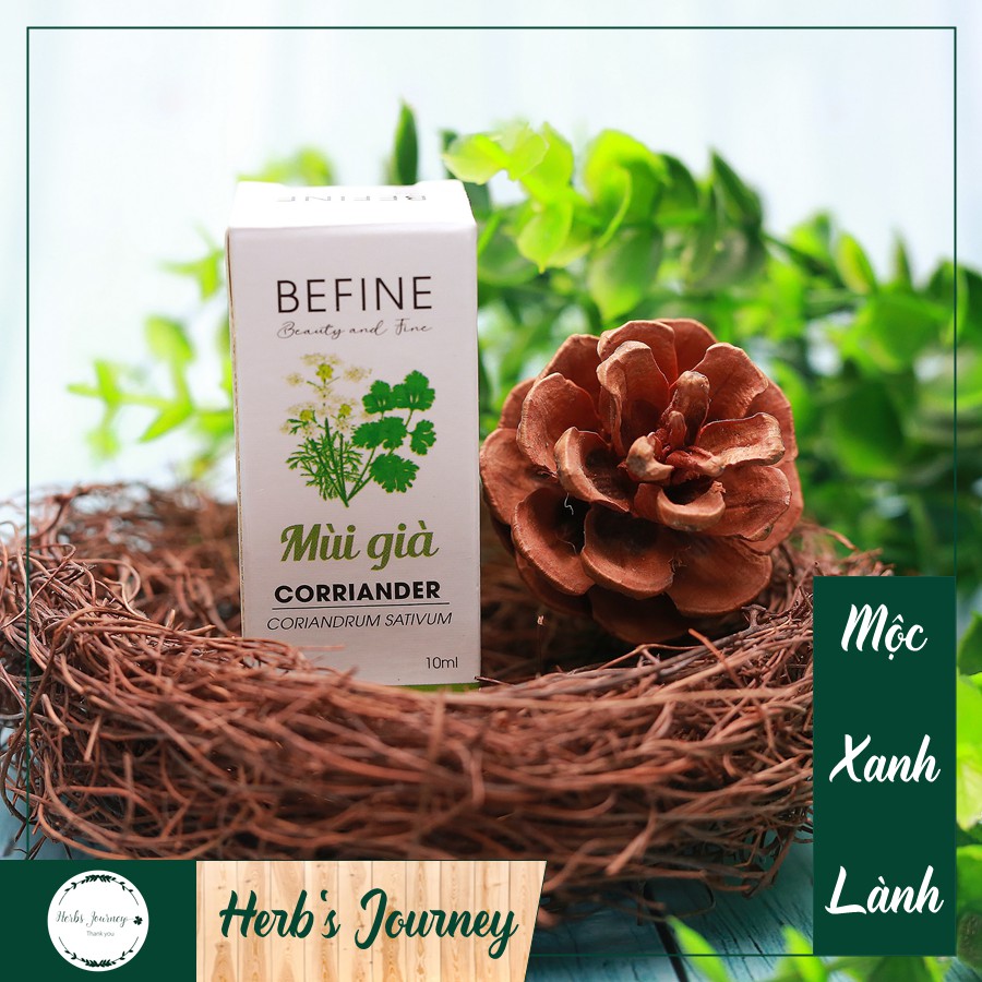 Tinh Dầu Mùi Già cao cấp 5ml 10ml - BEFINE - Tinh dầu nguyên chất chưng cất tự nhiên - Hương thơm ngày Tết, thơm phòng