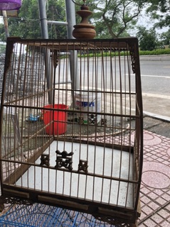 Lồng chào mào Huế kiểu thái