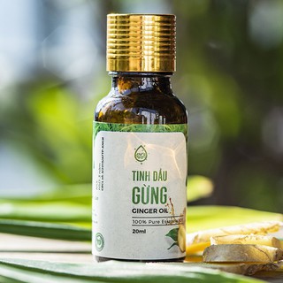 [20ml] Tinh dầu gừng Trí Đức