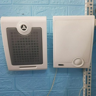 Loa treo tường 10W