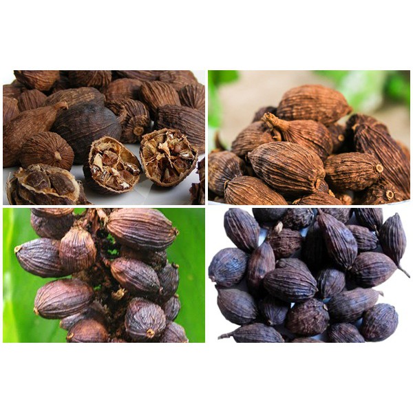 Thảo Quả Khô Sạch 100g --- ngon