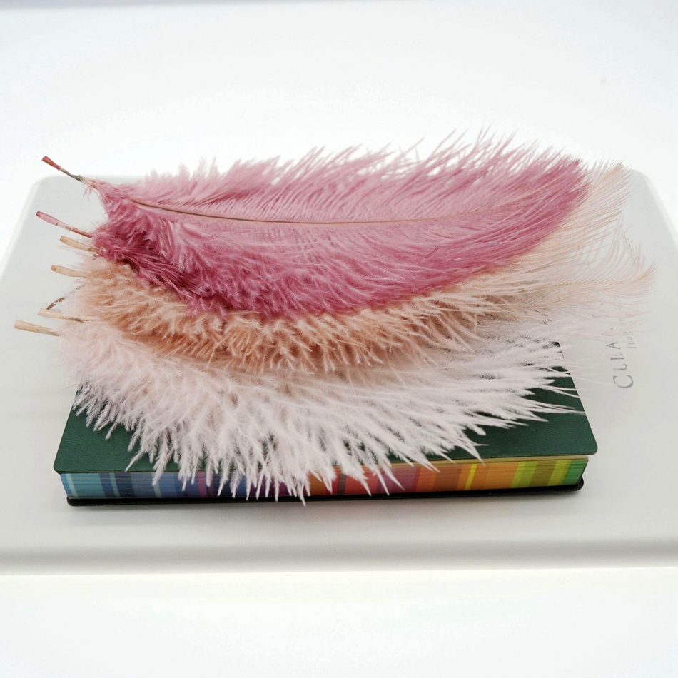 Bộ 5 Lông Đà Điểu Tự Nhiên 15-20CM Dùng Làm Đồ Trang Sức