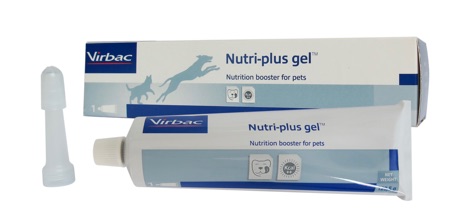 (HSD 10/2024) Nutri-plus Gel dinh dưỡng cho chó mèo