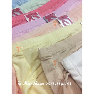 🐌 Quần Chíp Yumei cotton form lớn 🐌