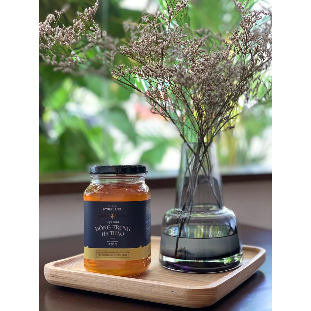 Bộ 2 hũ Mật ong Đông Trùng Hạ Thảo (420g/hũ) tặng 1 hộp viên collagen sữa ong chúa 60 viên | BigBuy360 - bigbuy360.vn