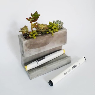 Chậu xi măng trồng cây cảnh mini để bàn CHA007