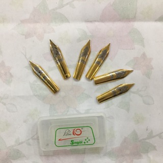 Combo 10 ngòi bút thien long loại đẹp