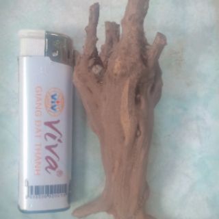 Lũa thủy sinh - Khúc lũa trang trí bể cá, tiểu cảnh