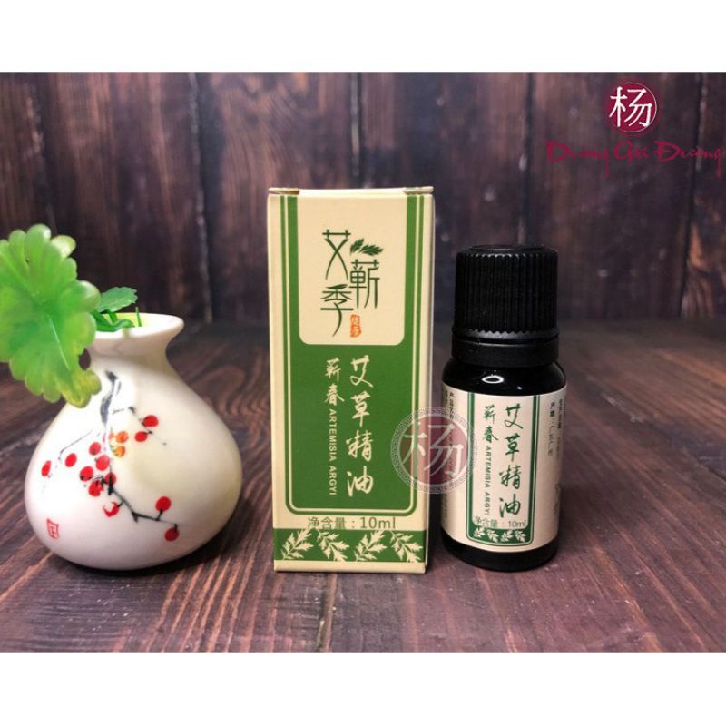 TINH DẦU NGẢI CHIẾT XUẤT TỪ NGẢI CỨU TỰ NHIÊN 10ml