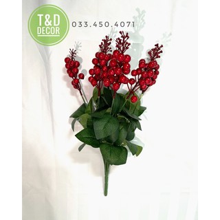 Cụm sơ ri nhiều quả+ Lọ thắt nút