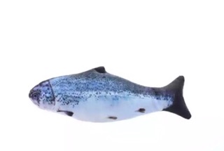 Cá sạc điện