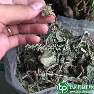[Hàng Công Ty] Lá bồ công anh sấy khô 200g