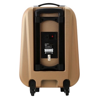 Loa kéo SoundMax M-6