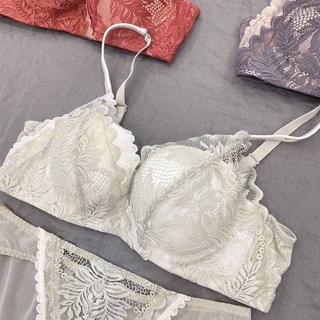 Bộ Lót Ren Không Gọng Đệm Vừa 2,5CM Nâng Ngực Tạo Khe  Tep Venus BDL1353 | BigBuy360 - bigbuy360.vn