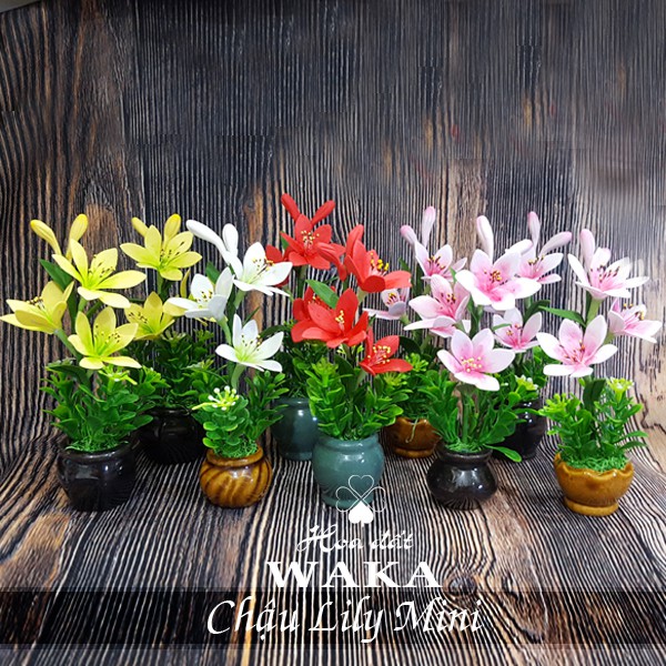 Hoa Đất Sét Mini- Lily