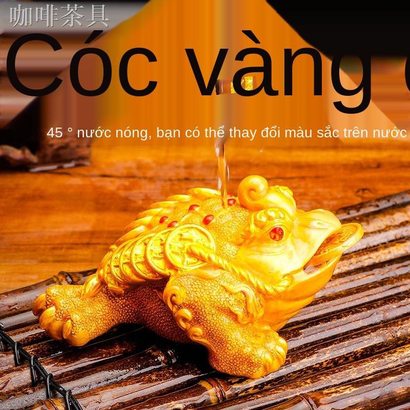 Golden Pig Tea Trang trí cho thú cưng Bộ trà Kung Fu đổi màu Phụ kiện Pixiu Creative Bình xịt để bàn Cóc vàngy mắn có