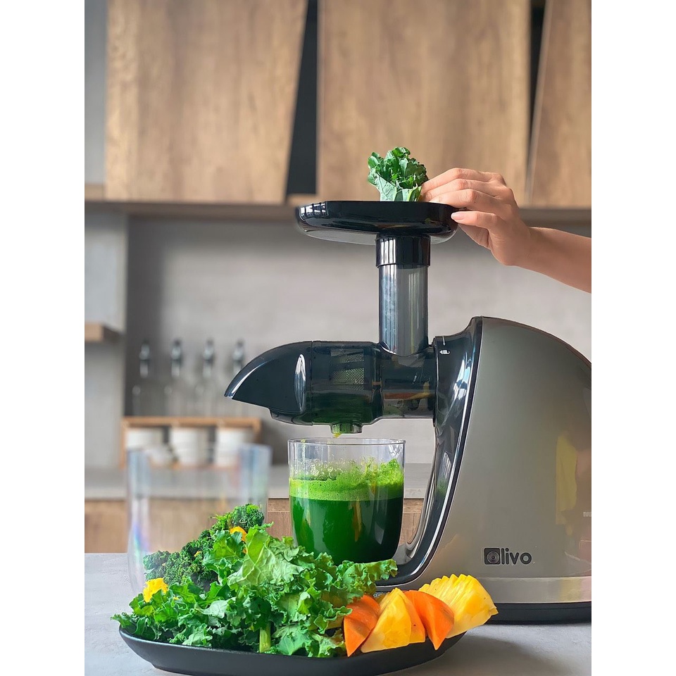 Máy Ép Chậm Trục Ngang Olivo SJ22 - Hàng chính hãng