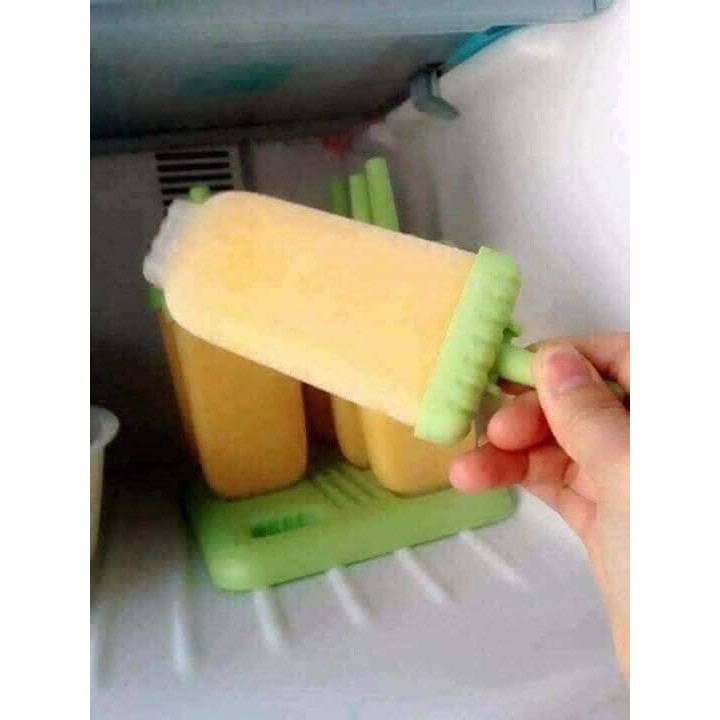 Khuôn làm kem 6 que