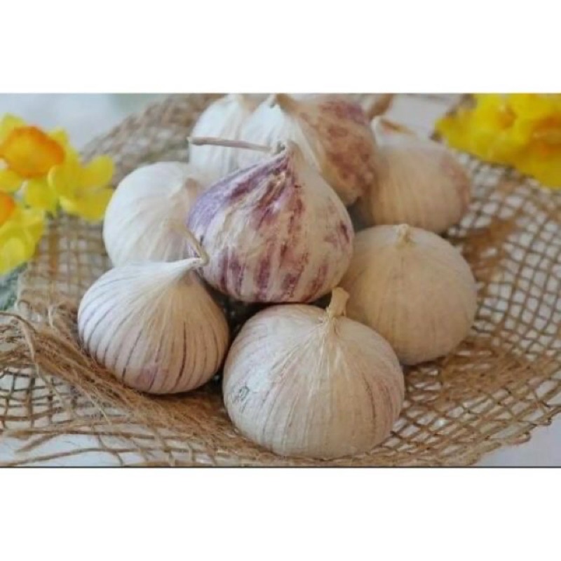 1 Kg Tỏi Cô Đơn Loại Củ To Ngon Không Bị Hư