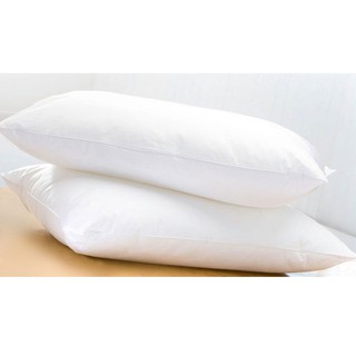 ruột gối hơi 50x70