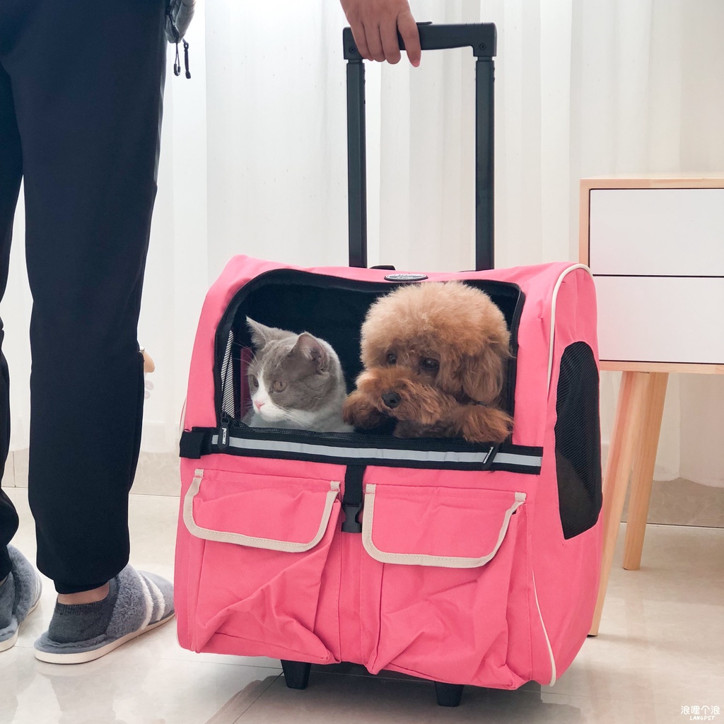 Vali - Balo vận chuyển tiện lợi cho thú cưng trong vòng 15kg MS110