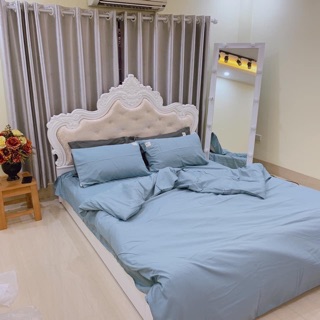 Bộ chăn ga gối cotton tici cao cấp