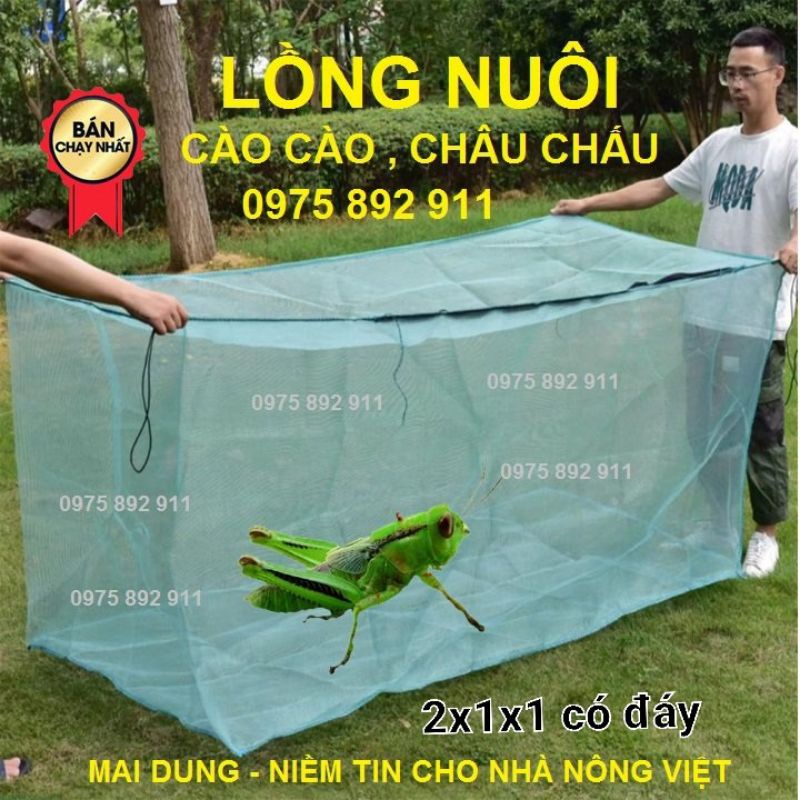 Lồng nuôi cào cào , châu chấu