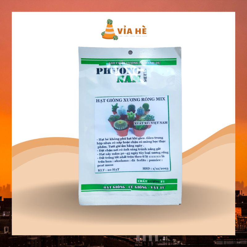 20H - HẠT GIỐNG XƯƠNG RỒNG MIX ĐỦ LOẠI