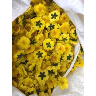 500g bông đào mai rời
