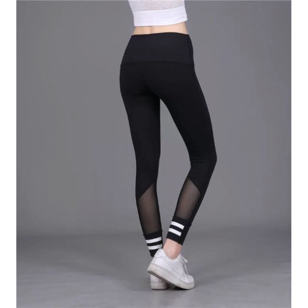 Quần tập ôm body phối lưới siêu chất cho girl