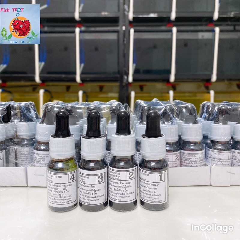 Bio nock 1234 Trị Nấm Cho Cá