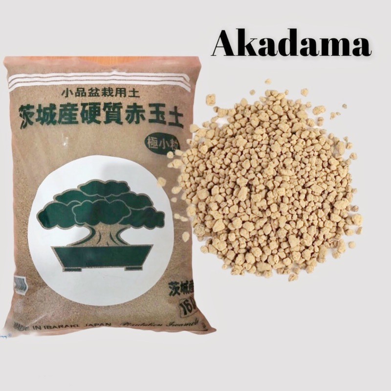 Đất Akadama 3-5mm (1kg) - Đất trồng sen đá cao cấp