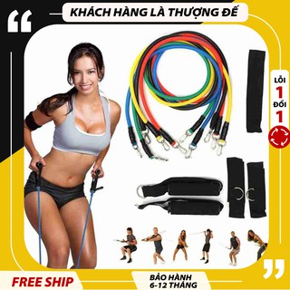 Dây tập gym đa năng, bộ 5 dây tập gym đàn hồi tập thể lực ngũ sắc chính hãng