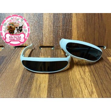 Mắt kính thời trang mẫu new dành cho chó mèo