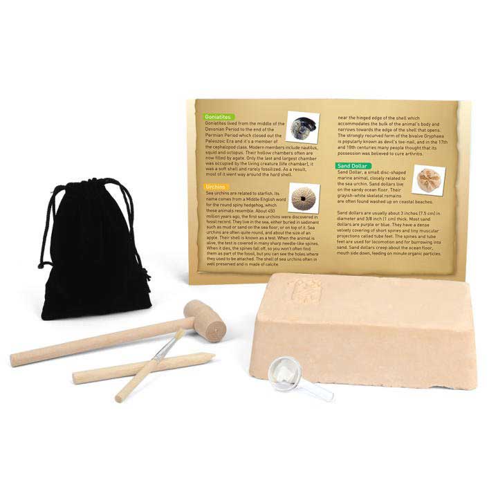 BỘ KIT KHẢO CỔ HỌC HOÁ THẠCH  QUÀ TẶNG, SINH NHẬT, ĐỒ CHƠI KHÁM PHÁ CHO BÉ