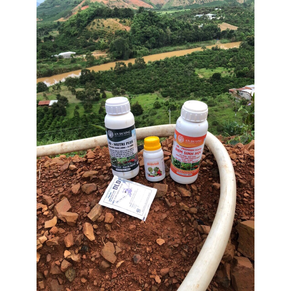 AD - Siêu ra hoa đậu quả 480ml