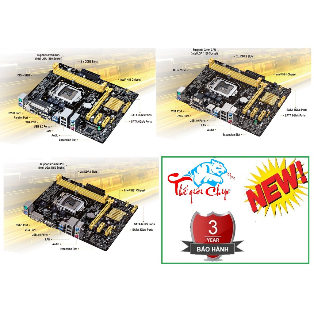 Bo Mạch Chủ (Mainboard) ASUS H81M-D (CTY Box-3 Năm)