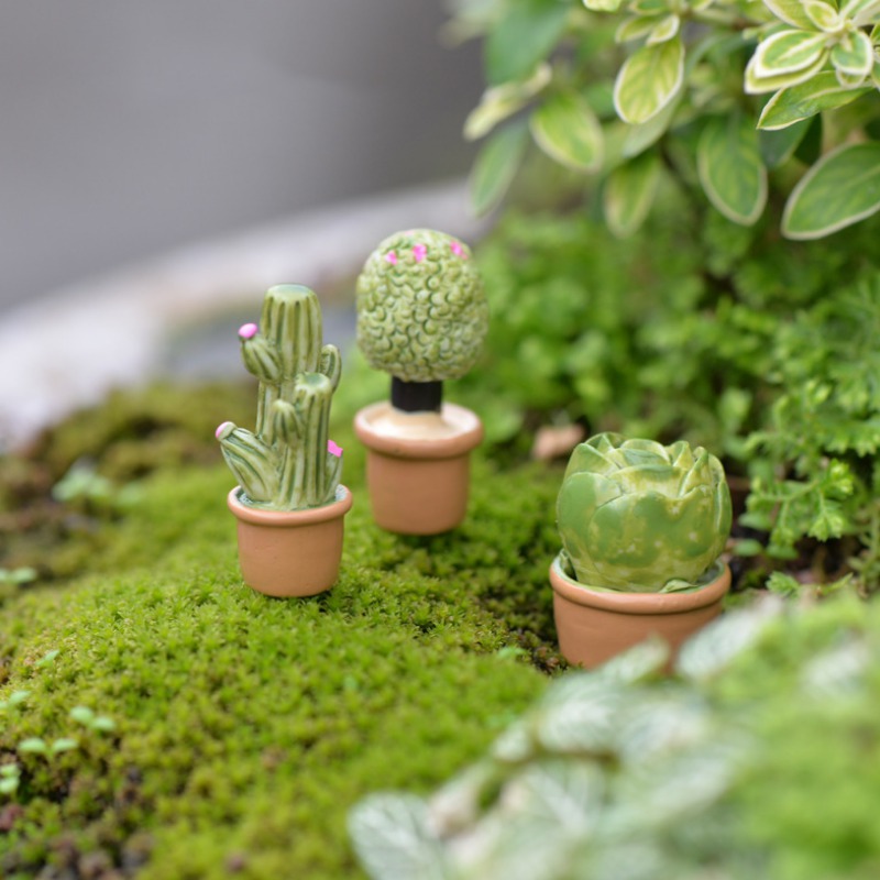 Đồ Trang Trí Hình Cây Xương Rồng Và Hoa Giả Cho Sân Vườn